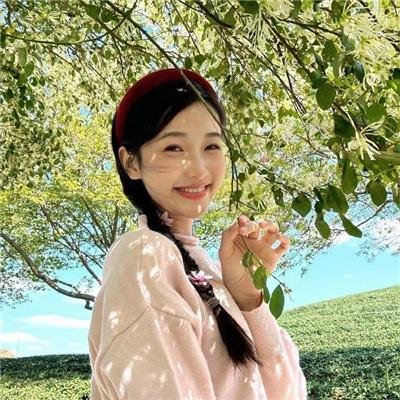 疯人计划
